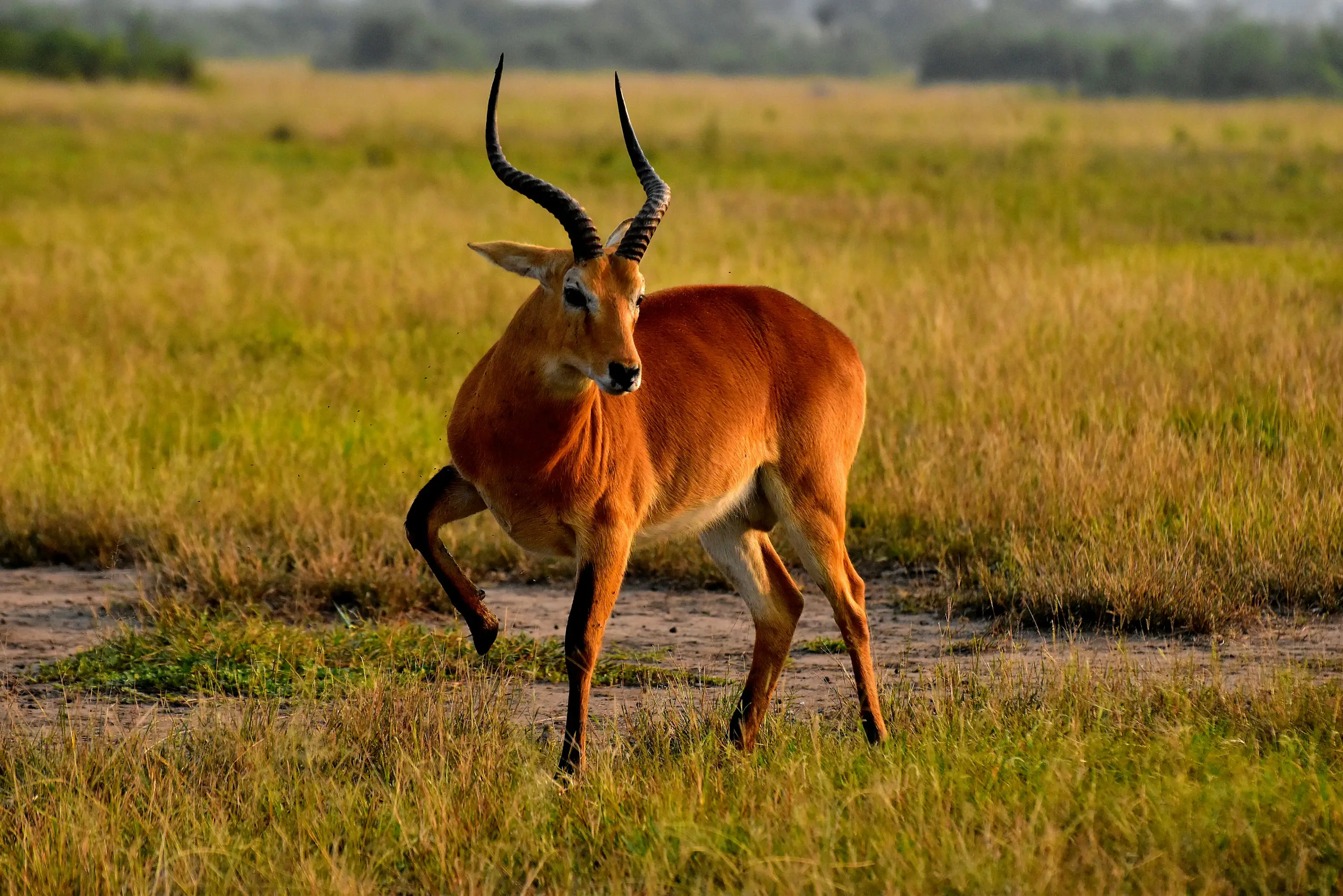 Arusha National Park