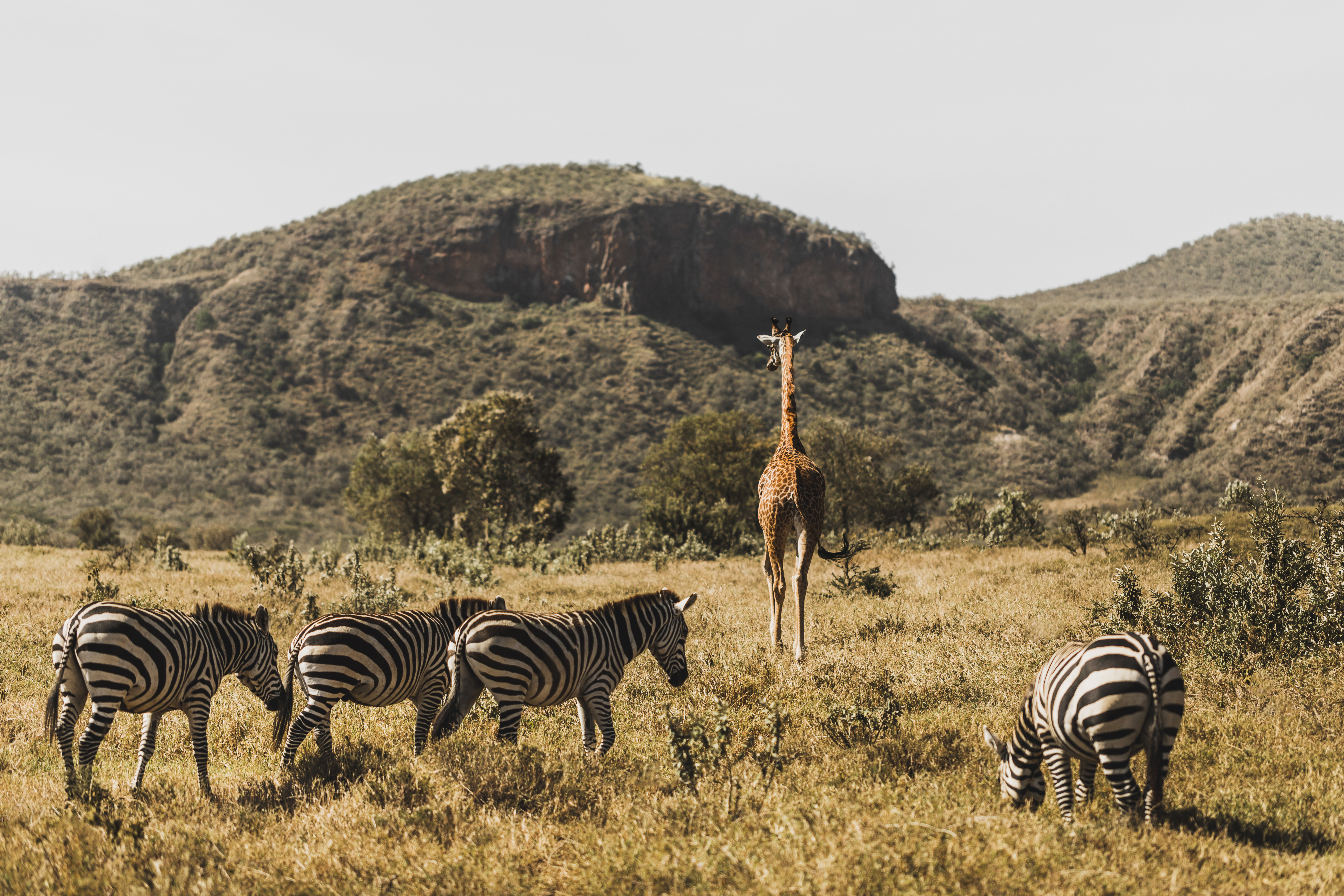 Serengeti National Park